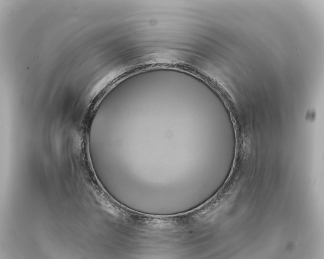X0000094210874200711021113