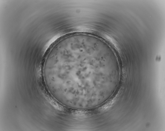 X0000094210875200711021113