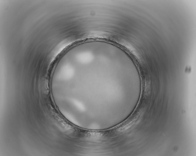 X0000094210878200711021113