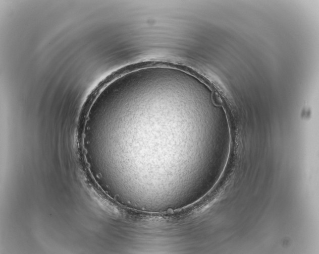 X0000094210880200711021113