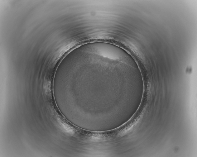 X0000094210881200711021113