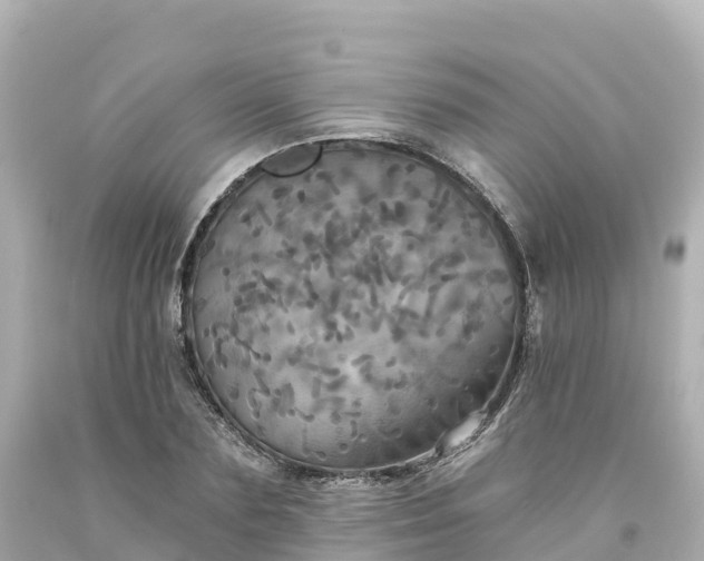 X0000094210883200711021113