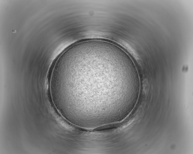 X0000094210885200711021113