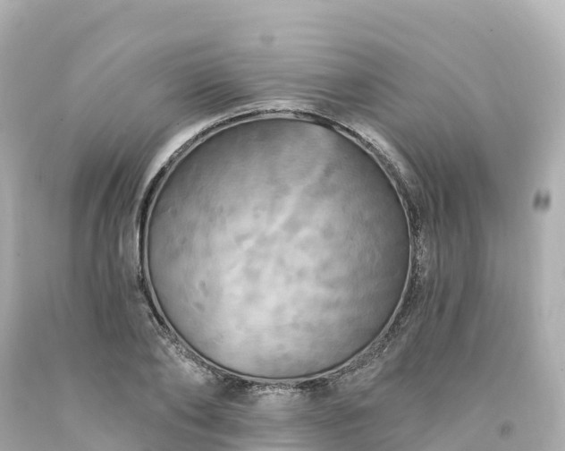 X0000094210886200711021113