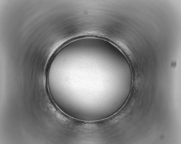 X0000094210888200711021113