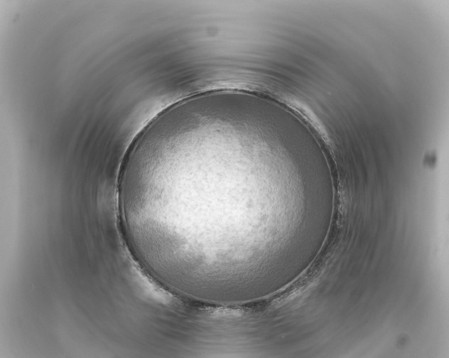 X0000094210890200711021113