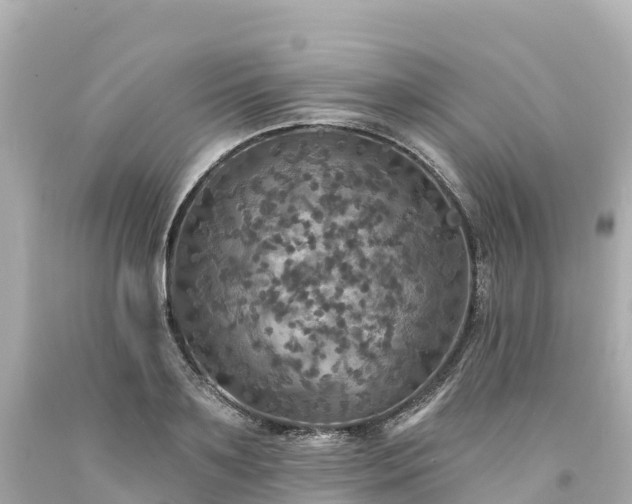 X0000094210891200711021113