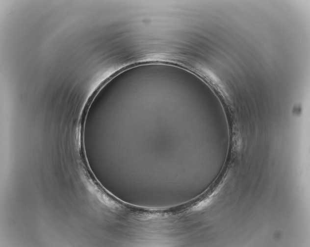 X0000094210892200711021113