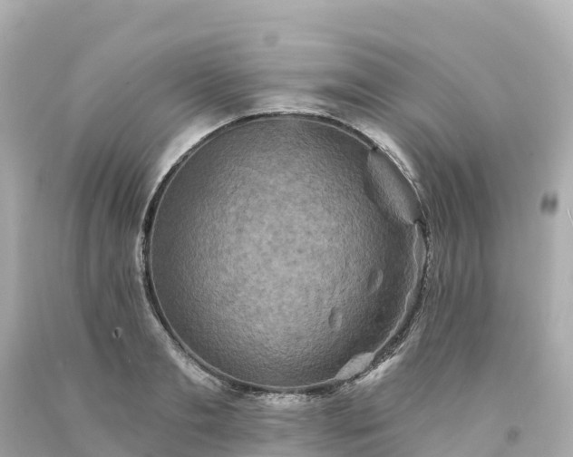 X0000094210893200711021113