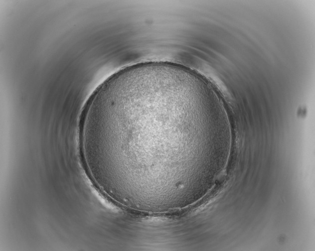 X0000094210894200711021113