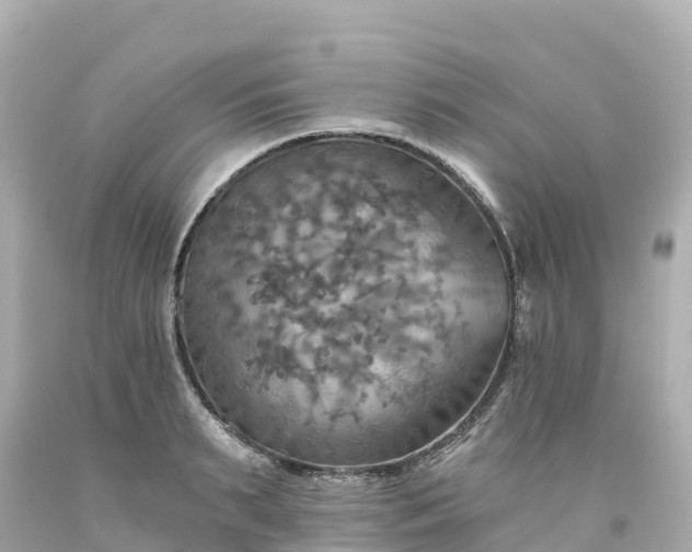 X0000094210895200711021113