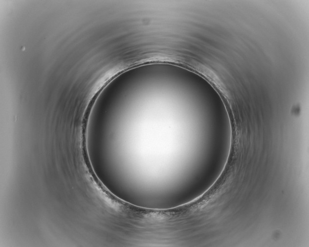X0000094210898200711021113