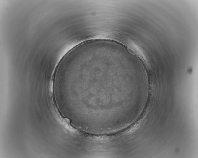 X0000094210900200711021113