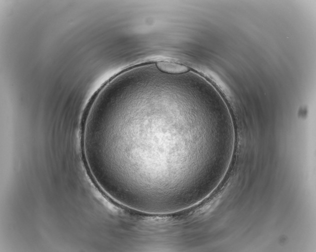 X0000094210902200711021113