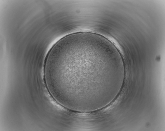 X0000094210904200711021113