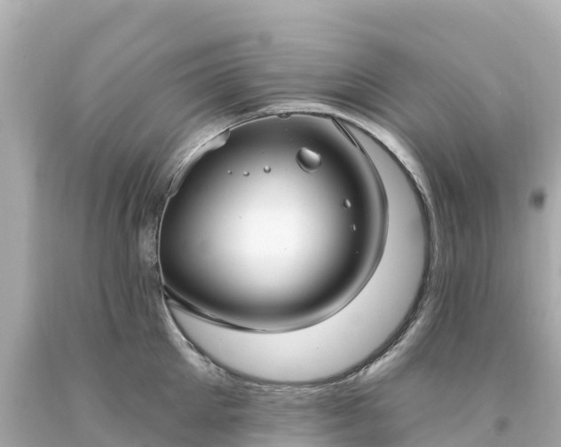 X0000094210905200711021113