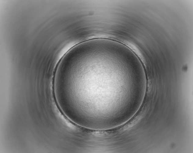 X0000094210906200711021113