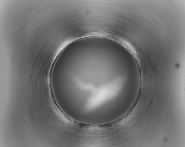 X0000094210907200711021113