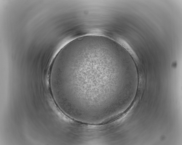X0000094210908200711021113