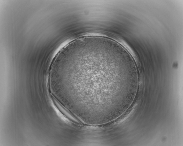 X0000094210909200711021113