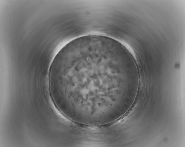 X0000094210911200711021113