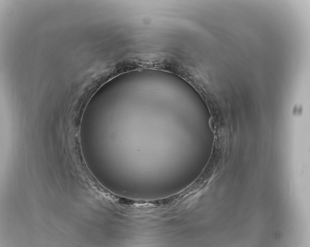 X0000094210913200711021112