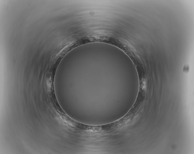 X0000094210915200711021112
