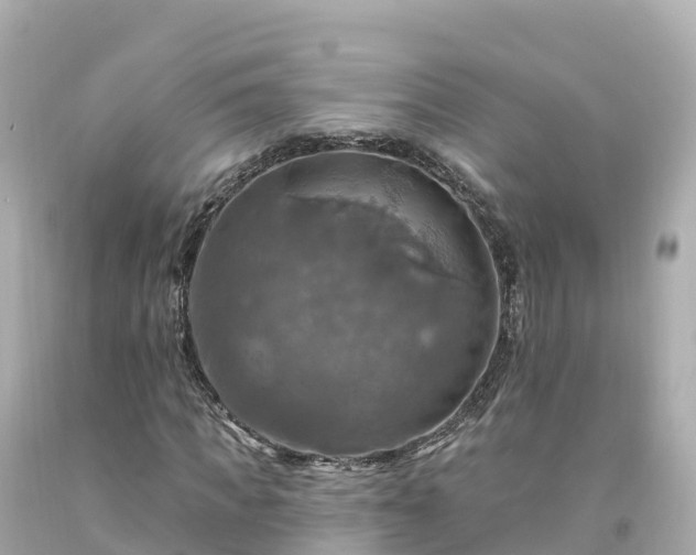 X0000094210917200711021112