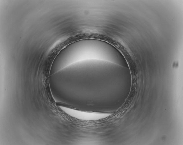 X0000094210919200711021112
