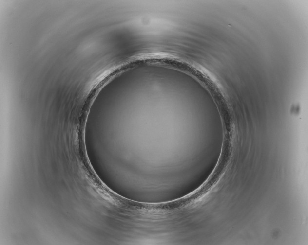 X0000094210921200711021112