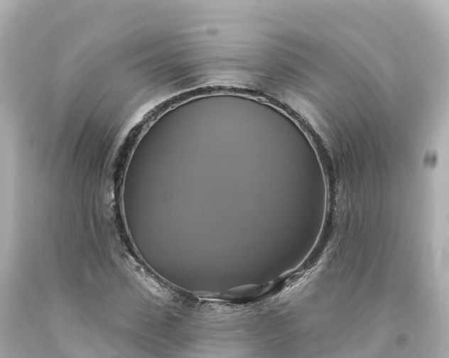 X0000094210923200711021112