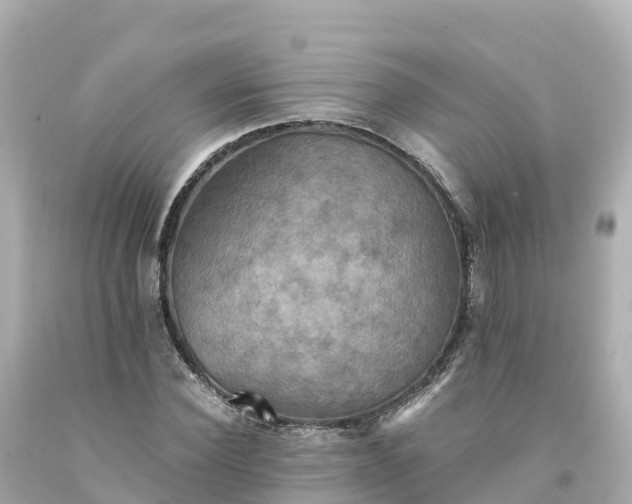 X0000094210924200711021112