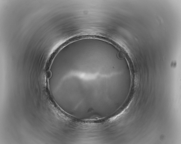 X0000094210925200711021112