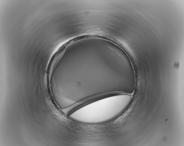 X0000094210932200711021112