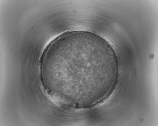 X0000094210933200711021112