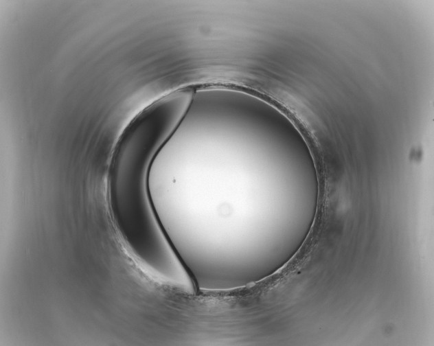 X0000094210936200711021112