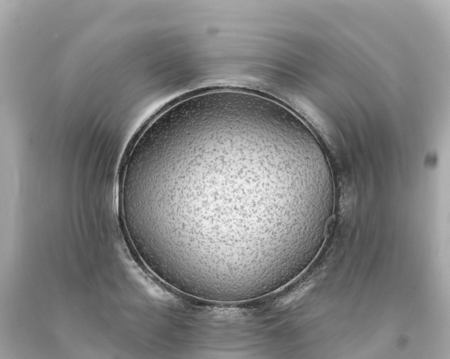 X0000094210940200711021112