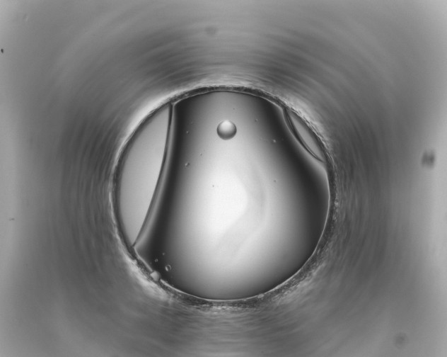 X0000094210942200711021112