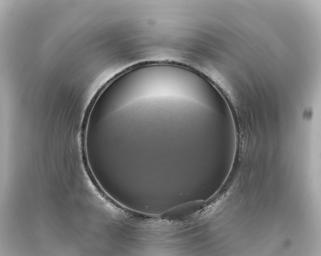X0000094210943200711021112
