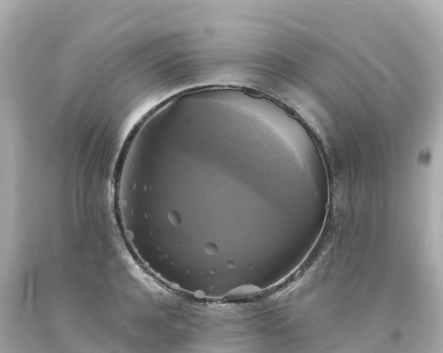 X0000094210944200711021112