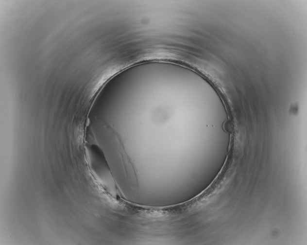 X0000094210945200711021112