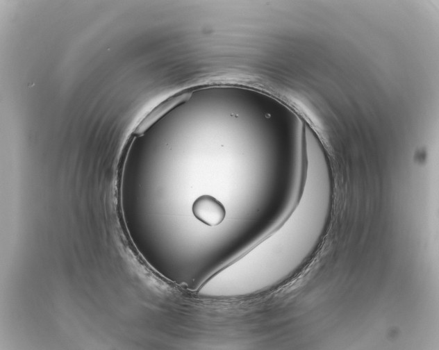 X0000094210948200711021112