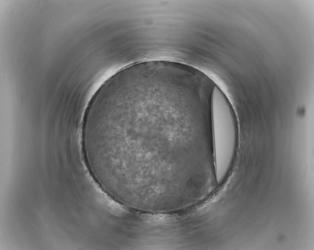 X0000094210949200711021113