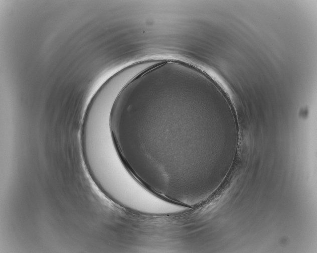X0000094210951200711021113