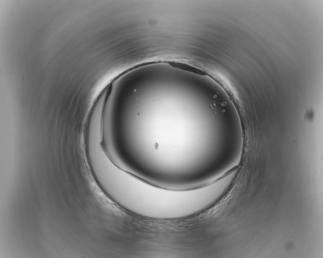 X0000094210952200711021113
