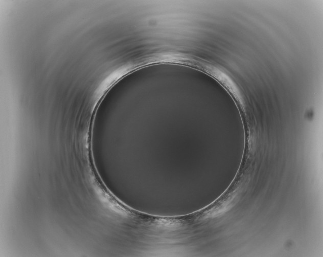 X0000094210954200711021113