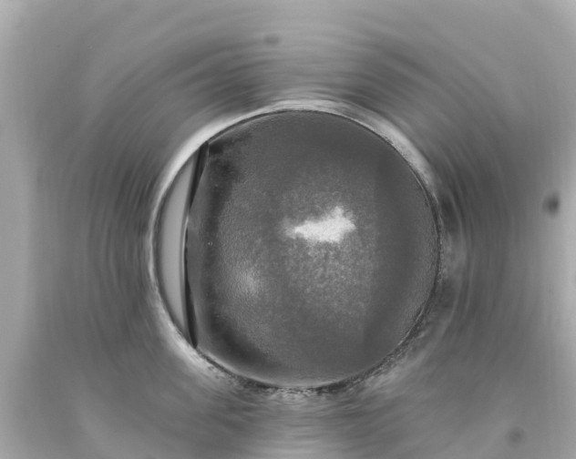 X0000094210955200711021113