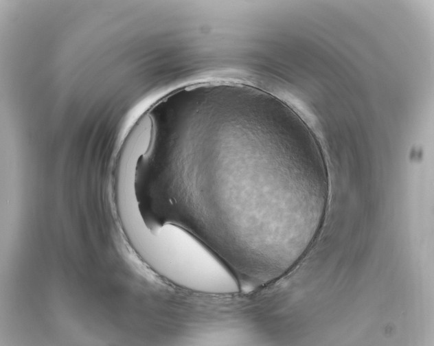 X0000094210960200711021113