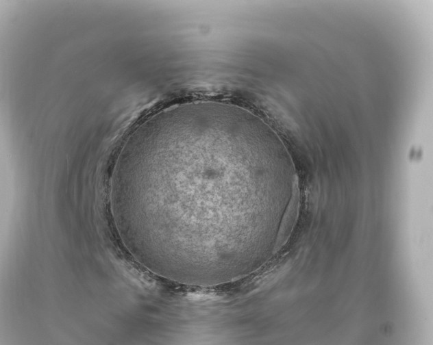 X0000094210961200711021112