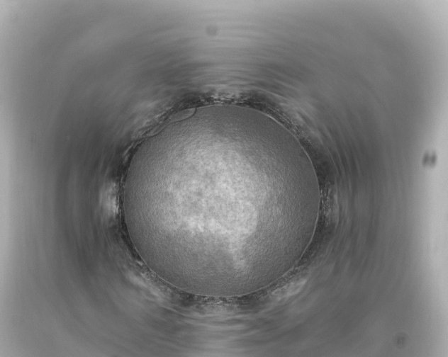 X0000094210962200711021112